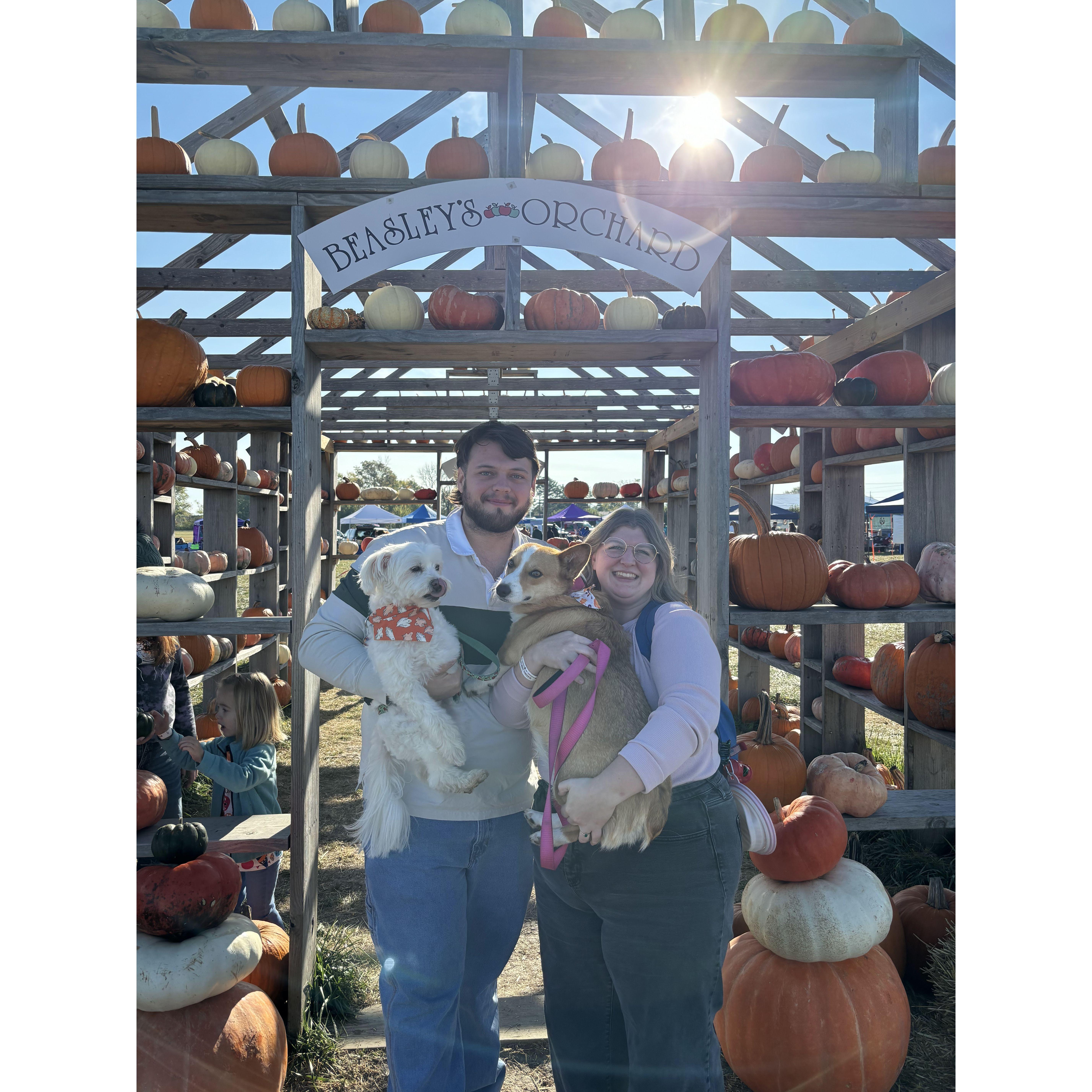 Our little family at the apple orchard!