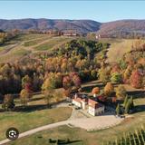 Hazy Mountain Vineyards & Brewery
