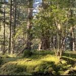Lopez Hill Trailhead