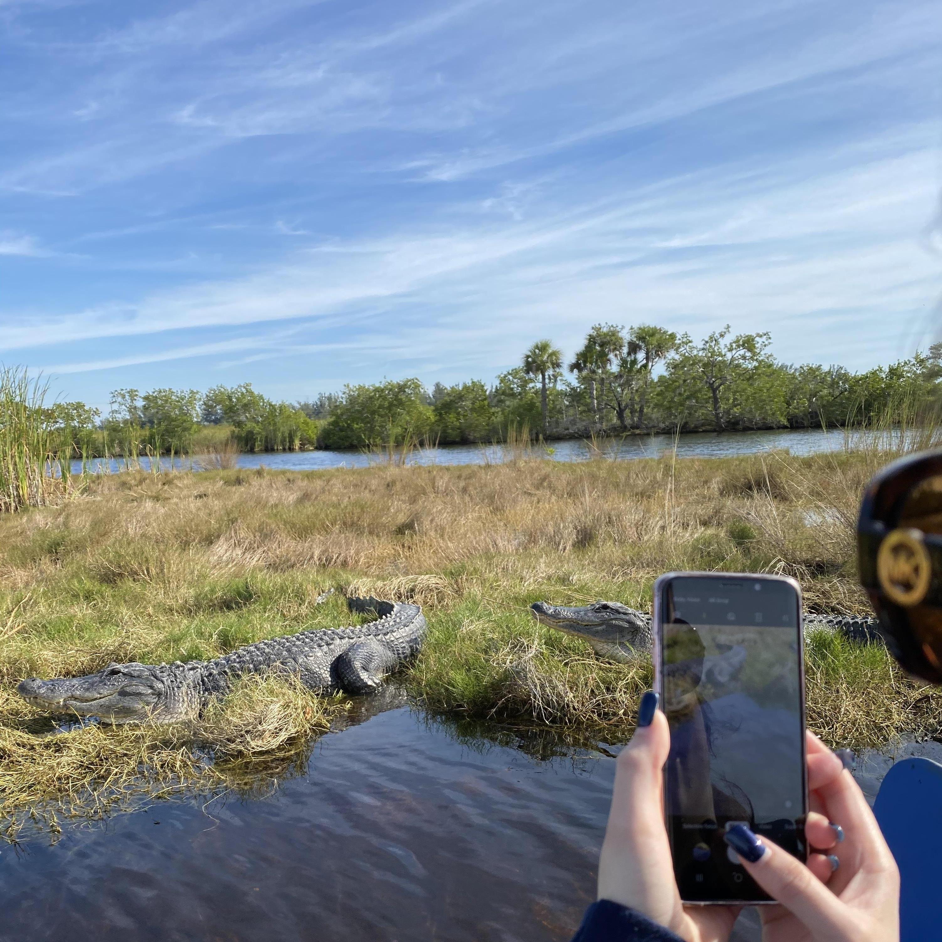 Florida Gators