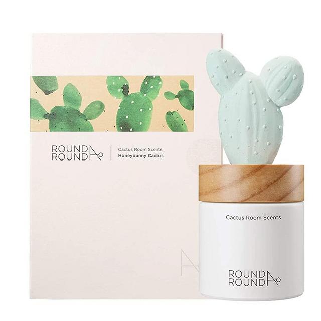 ROUND A’ROUND] Cactus Room Scents 100ml / Gypsum Reed Fragrance Diffuser Fragrant Homes, Rooms, Office, Bathroom, Living Room (Honeybunny Cactus)