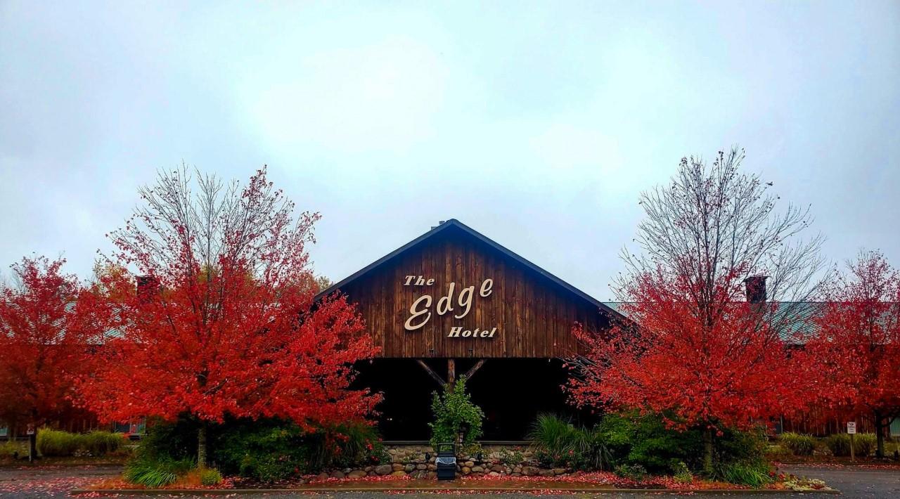 The Wedding Website of Kali Kraeger and Steven Sestir