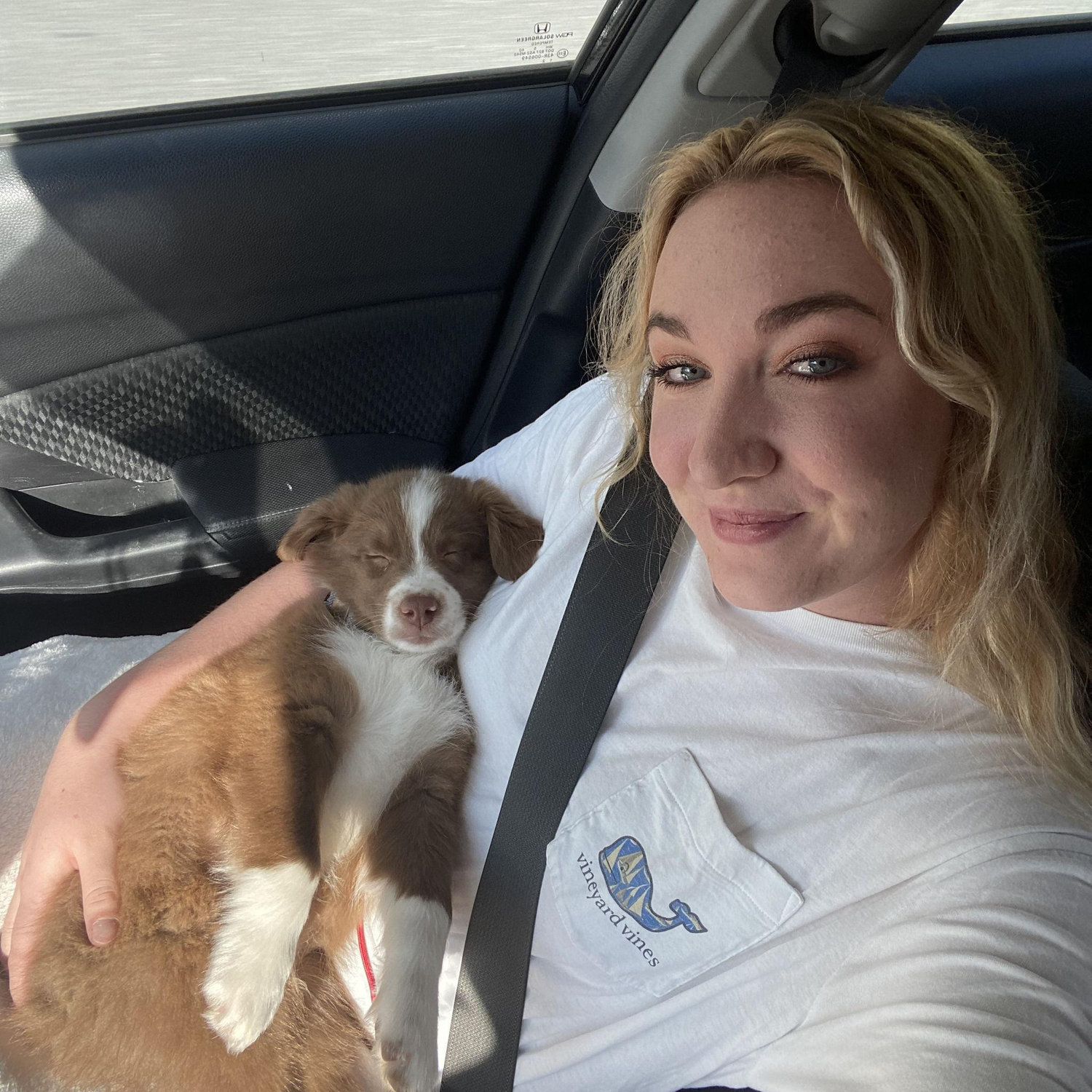Zuko snoozing before taking his first professional photos