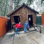 The Mystery Spot