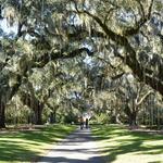 Brookgreen Gardens