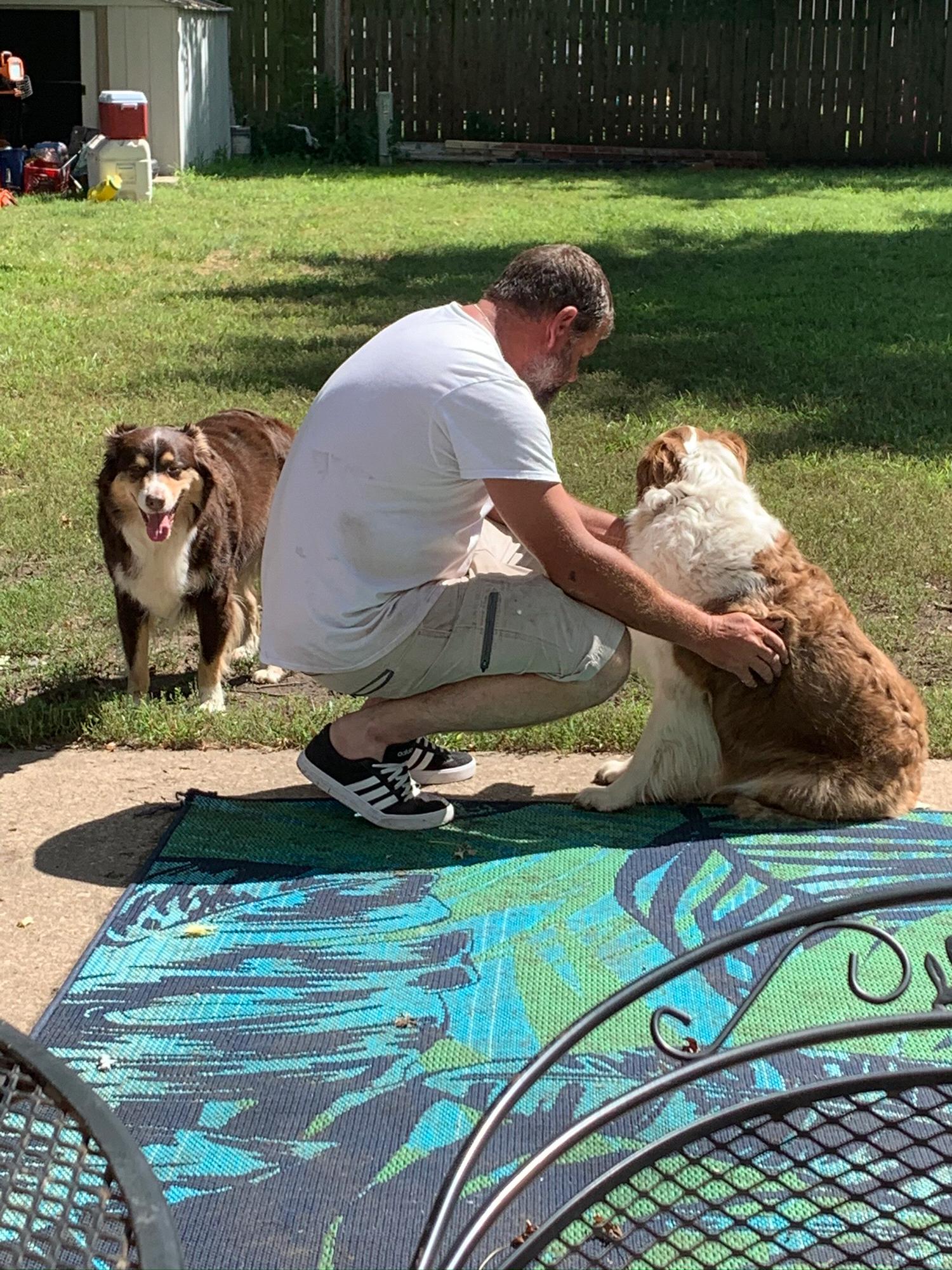 My gentle fur baby daddy. He is so patient, and kind. With two Australian Shepherds, an Anatolian Pyranees and Jack Russel it can be exhausting. He works patiently with my reactive Theo. They are BFF.