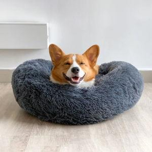 Corgi Supplies
