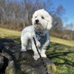 Brandywine Creek State Park