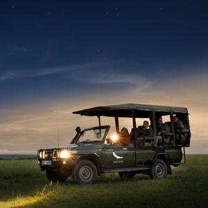 Night Safari Game Drive