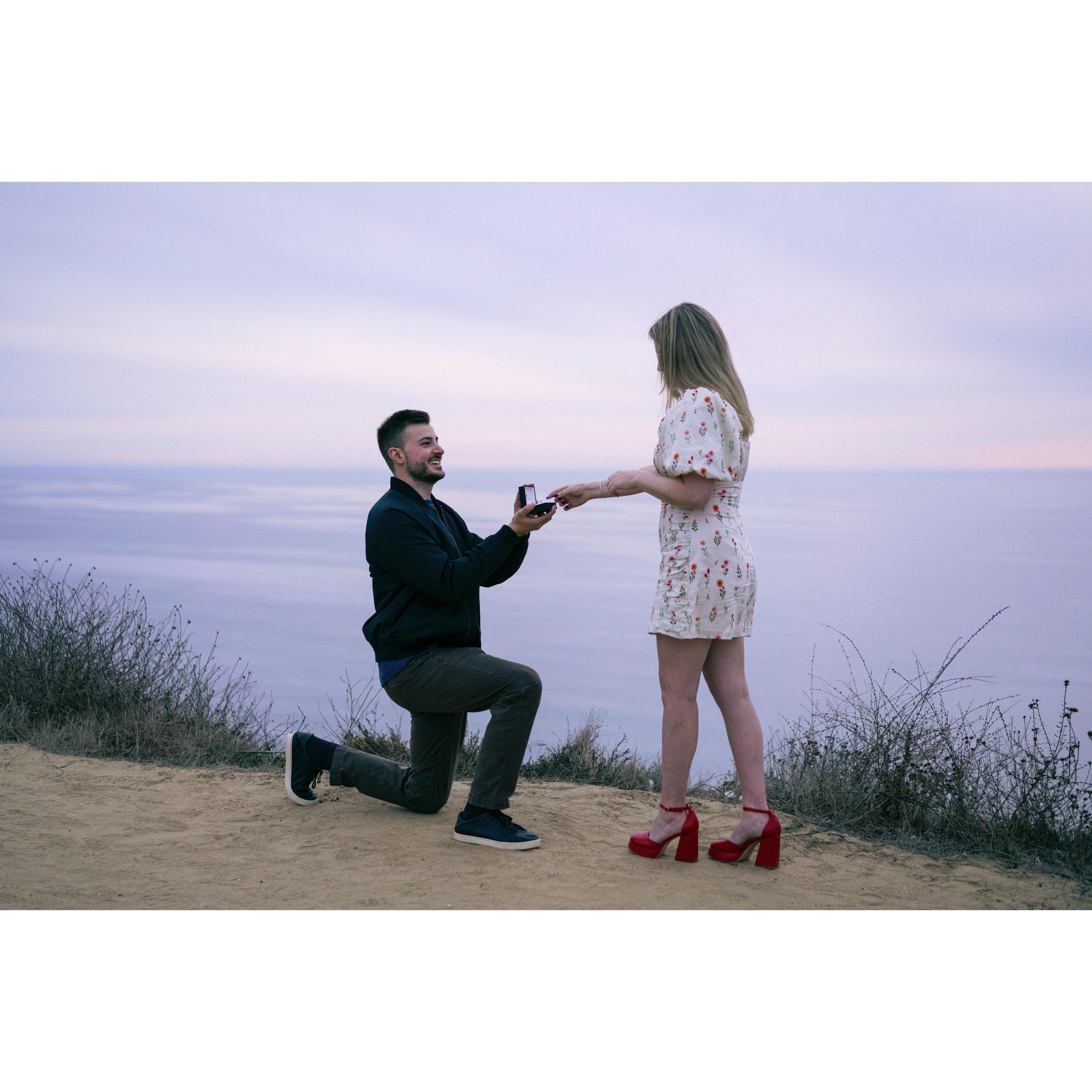 Proposal, Torrey Pines, CA 2024