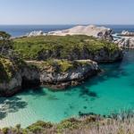 Point Lobos State Natural Reserve