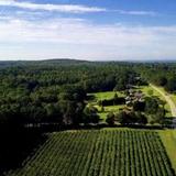 Little Vine Vineyards & Winery