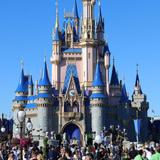 Walt Disney World® Resort