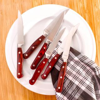 Pakka Stainless Steel Steak Knife, Set of 4