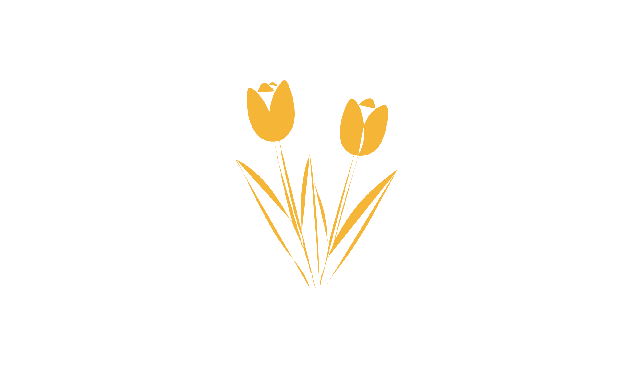 Footer image