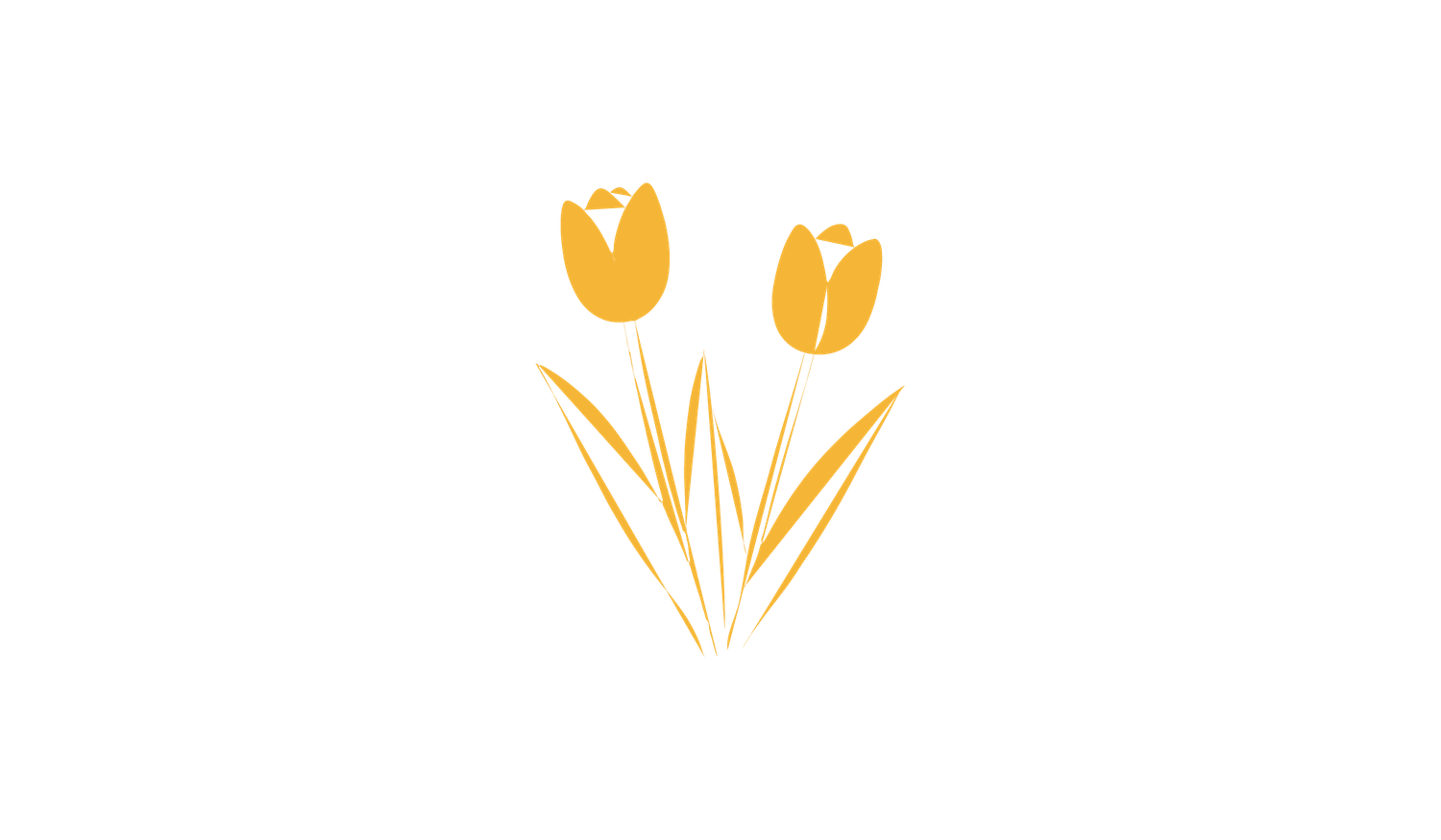 Footer image