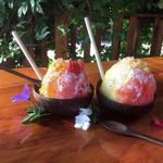 Waikomo Shave Ice