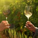 Wine tastings