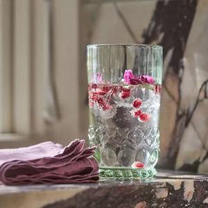 Savannah Tumbler Glasses, Set of 4