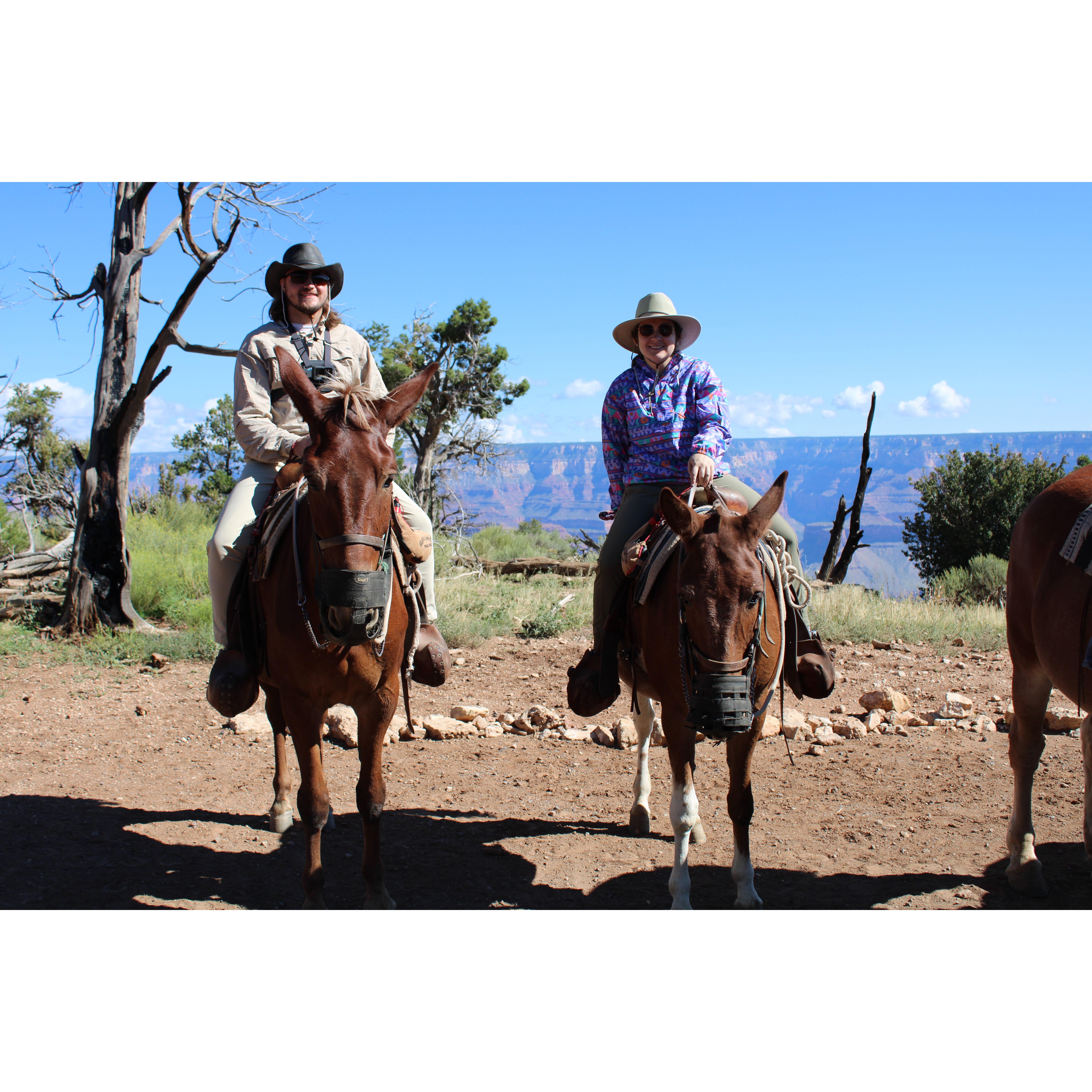 Mule ride around the Grand Canyon.. our mules did not like each other. Hopefully that wasn't a sign.