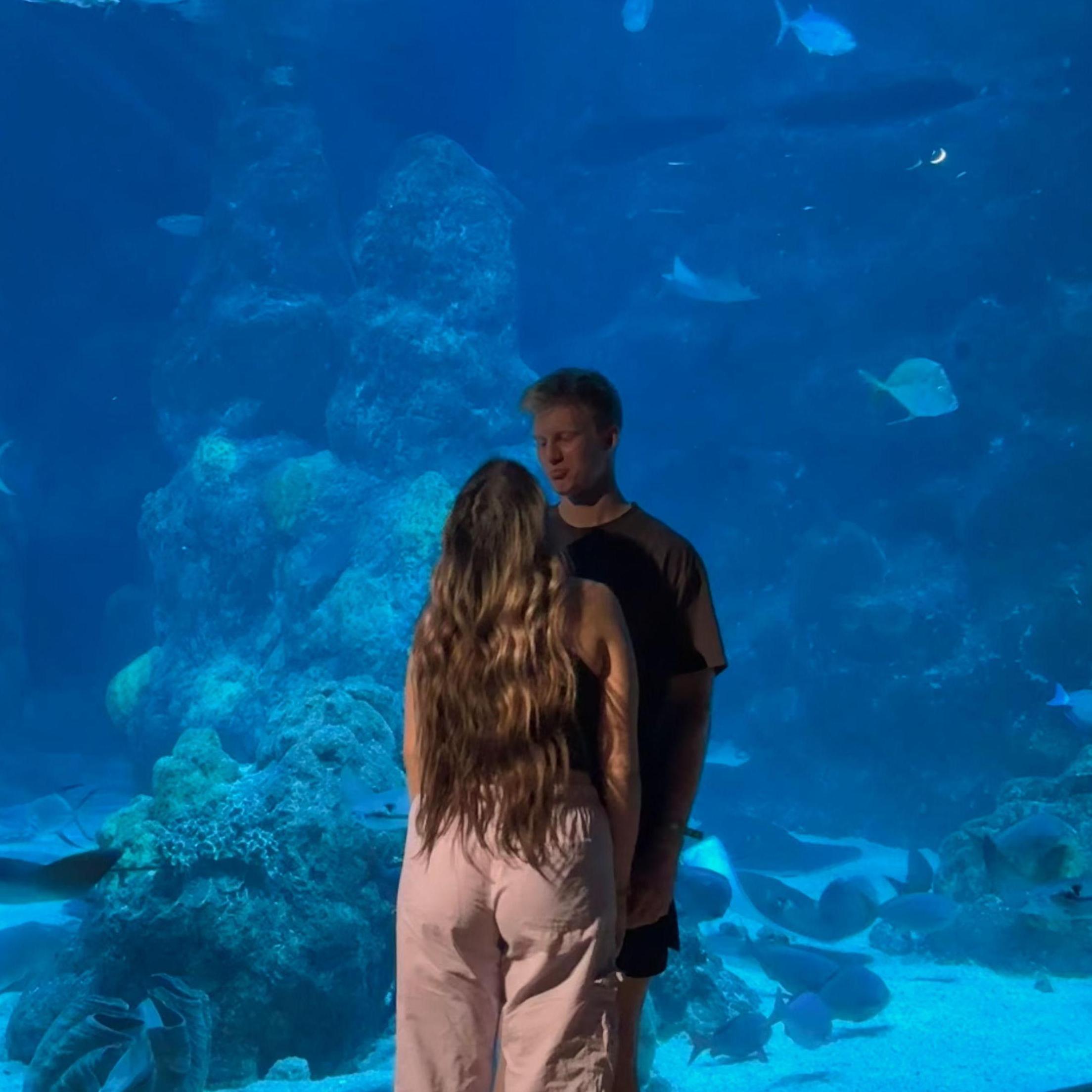 Denver Aquarium trip