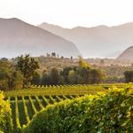 Le Cantine della Franciacorta