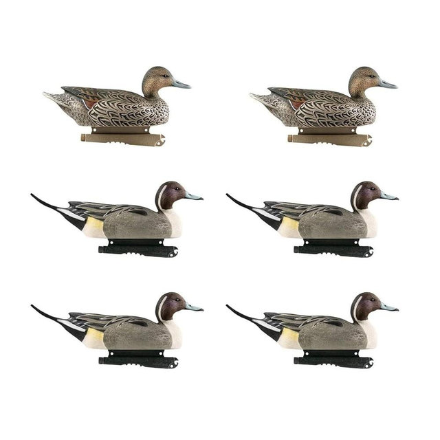 Avery GHG Hunter Series Life Size Pintail Waterfowl Floating Hunting Decoys (6-Pack) | Ultra-Realistic Carvings and Paint Schemes | 60/40 Dura-Keel Design | 4 Drakes, 2 Hens - 73033