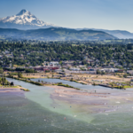 Explore the Sandbar + Watch the Surfers @ The Marina