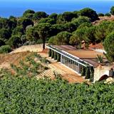 Alta Alella Winery