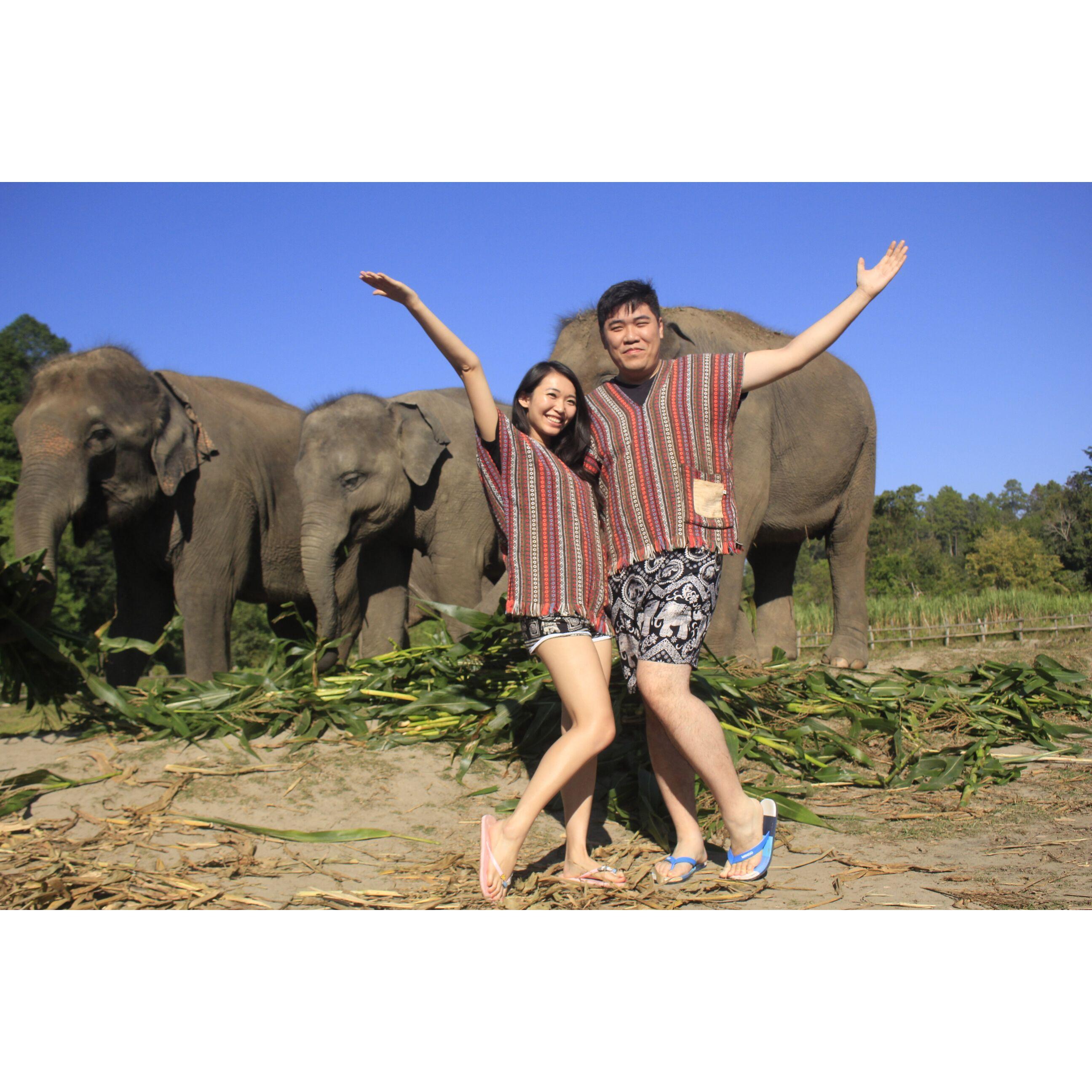 Our trip to Chiang Mai