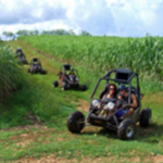 Dune Buggy Tour