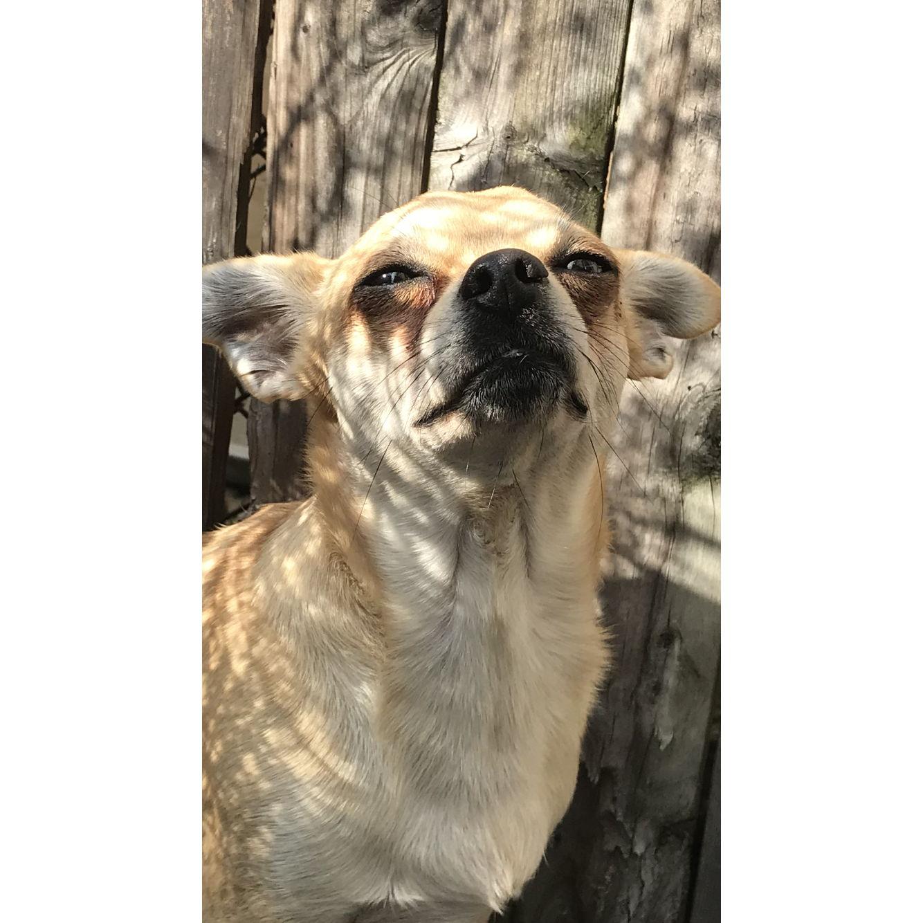 "i'm squinting bc of the sun" - Odin, 2019