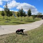 Mount Trashmore Park