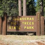 Calaveras Big Trees State Park