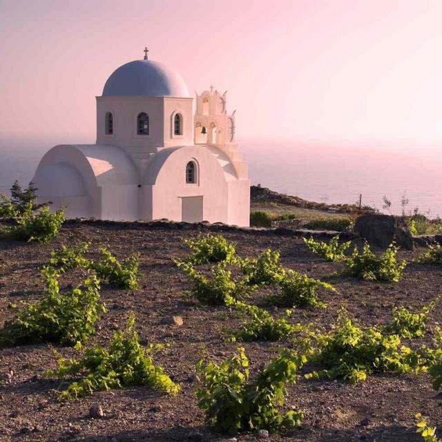 Wine tasting experience on a vineyard in Crete, Greece on our honeymoon