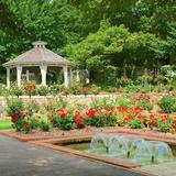 Rose Garden
