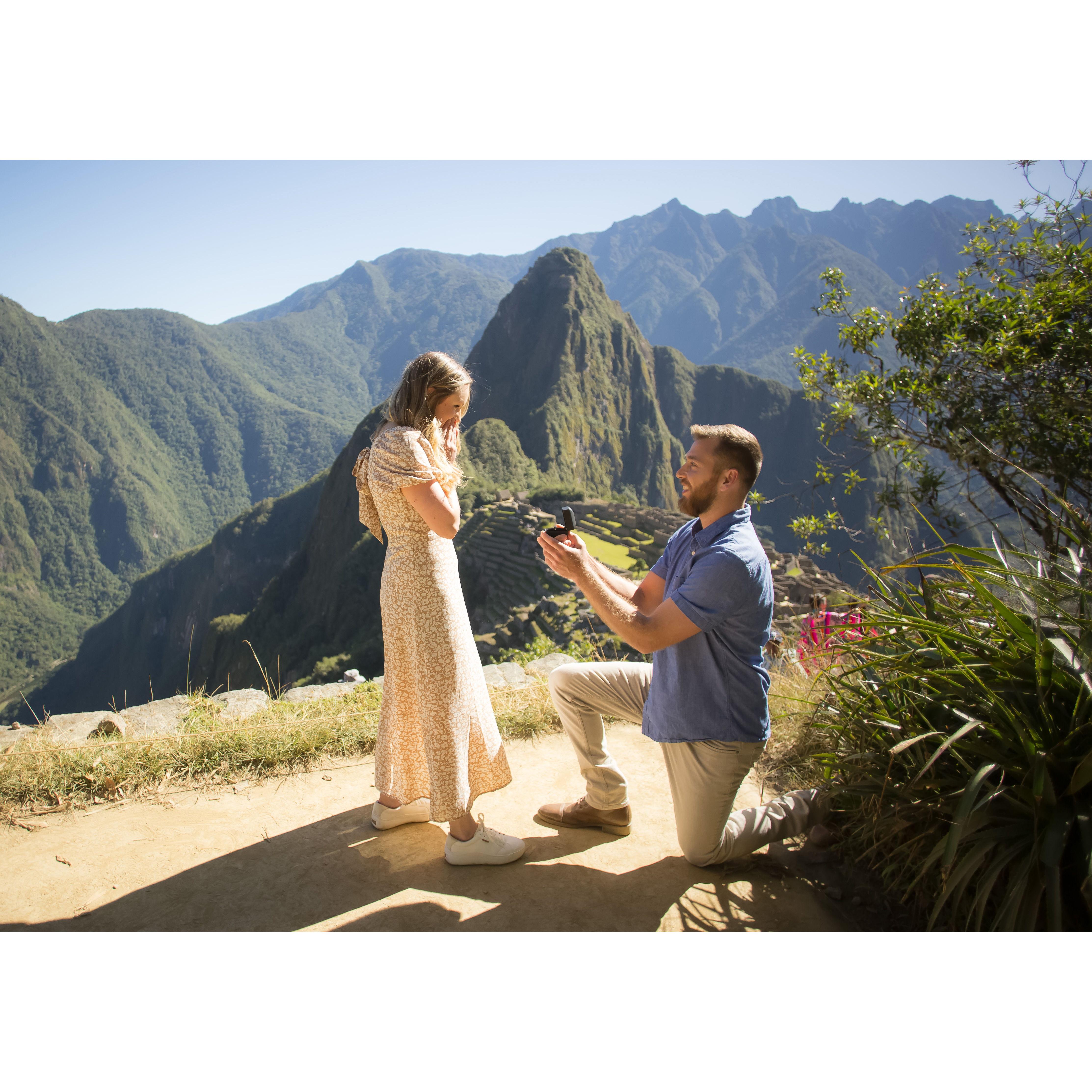 She said yes!!
