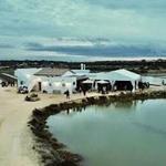 Activities to do around the venue