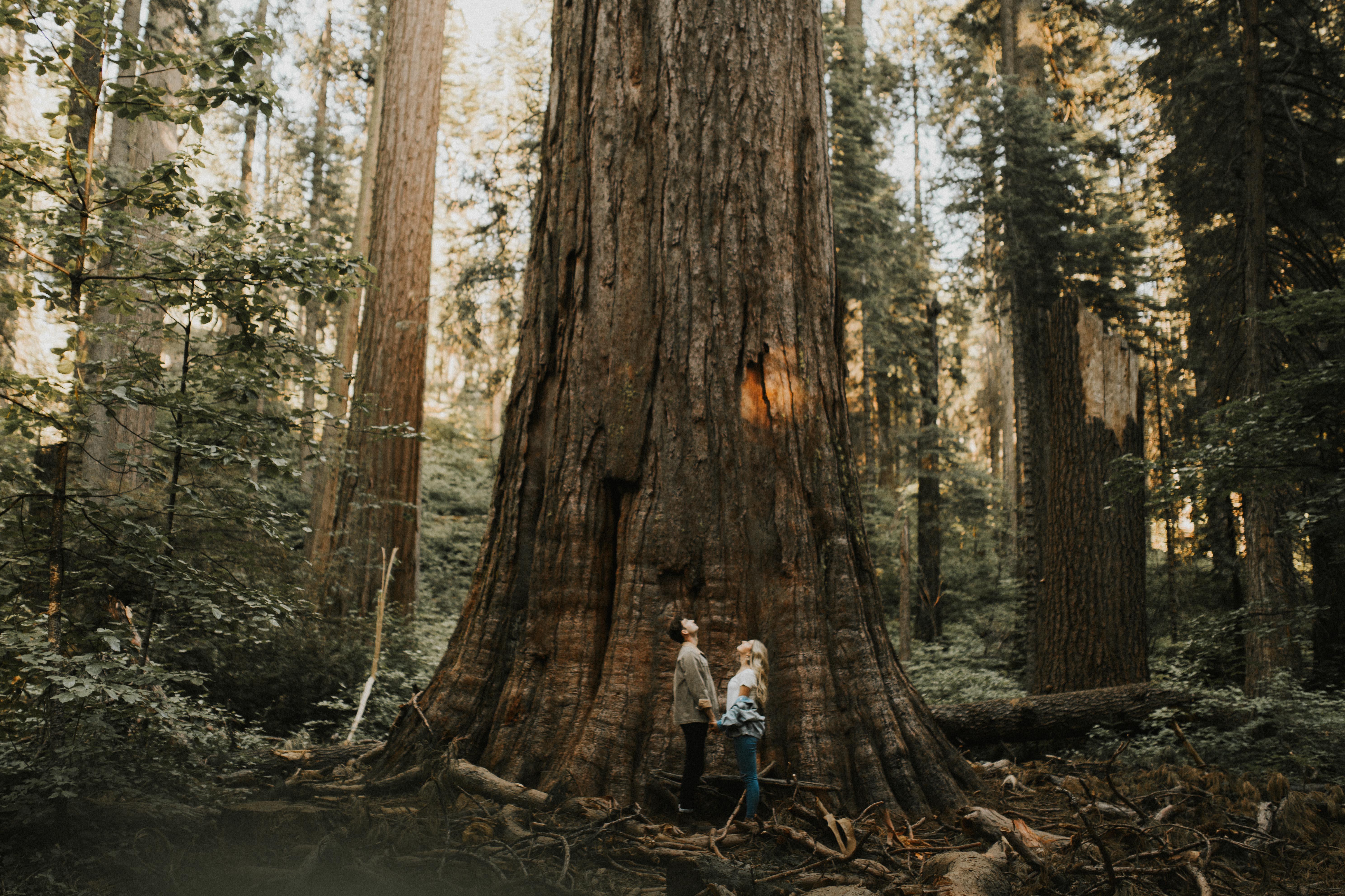 The Wedding Website of Abbey Harmon and Zac Sidnam