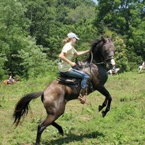 Horseback Riding Date Weekend