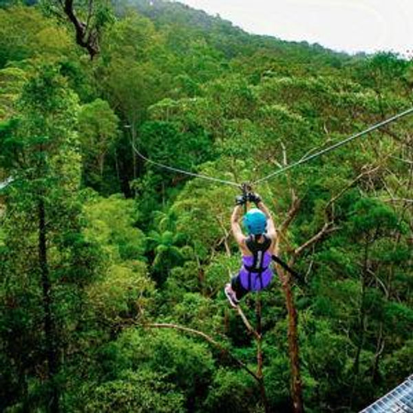 Ziplining for Two