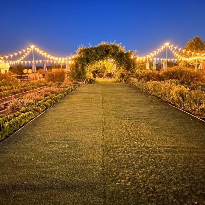 The Wedding Website of Courtney Sabino and Deandre Shaw-Trent