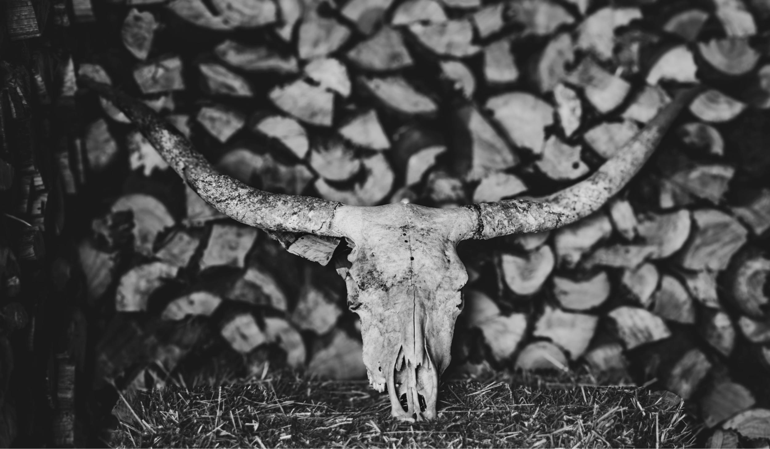 Hero Slideshow Image 2