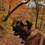 Chester Park Trail