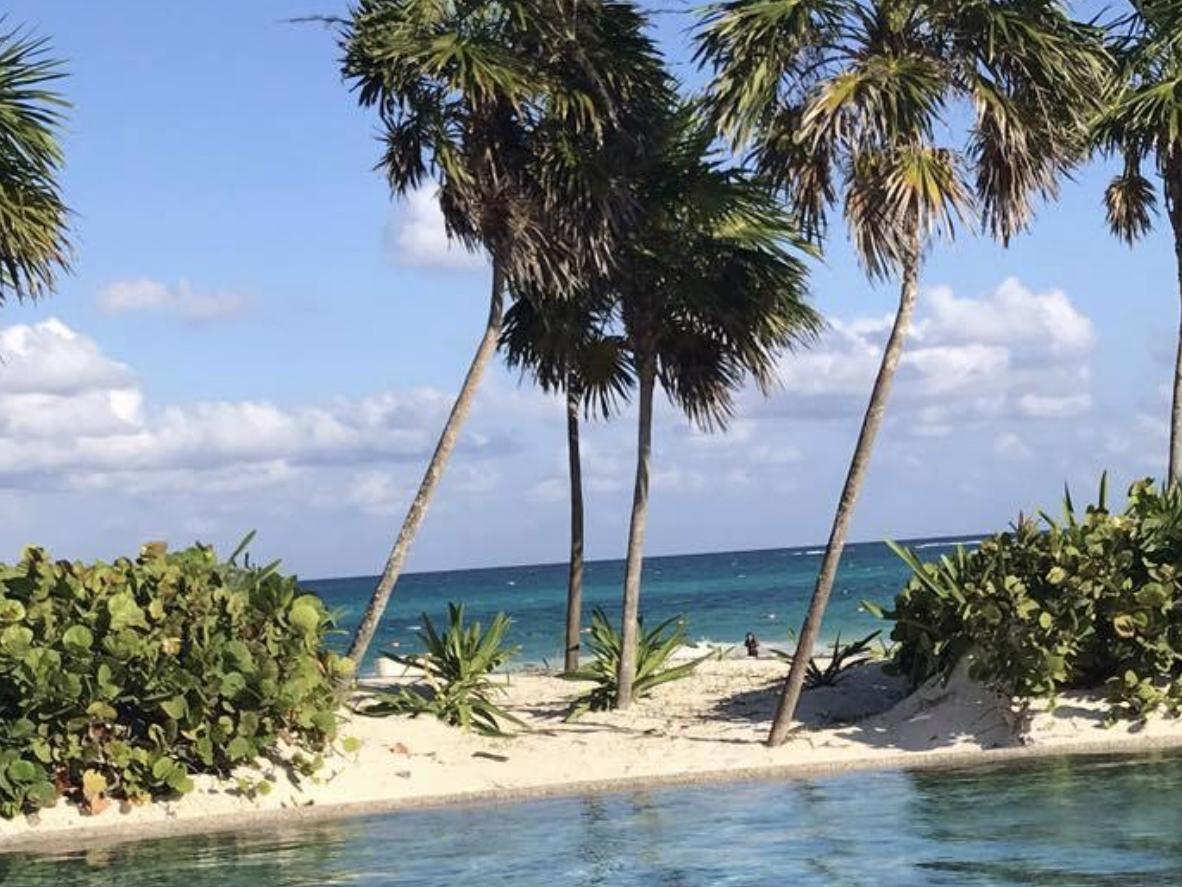 Wedding/Honeymoon Fund