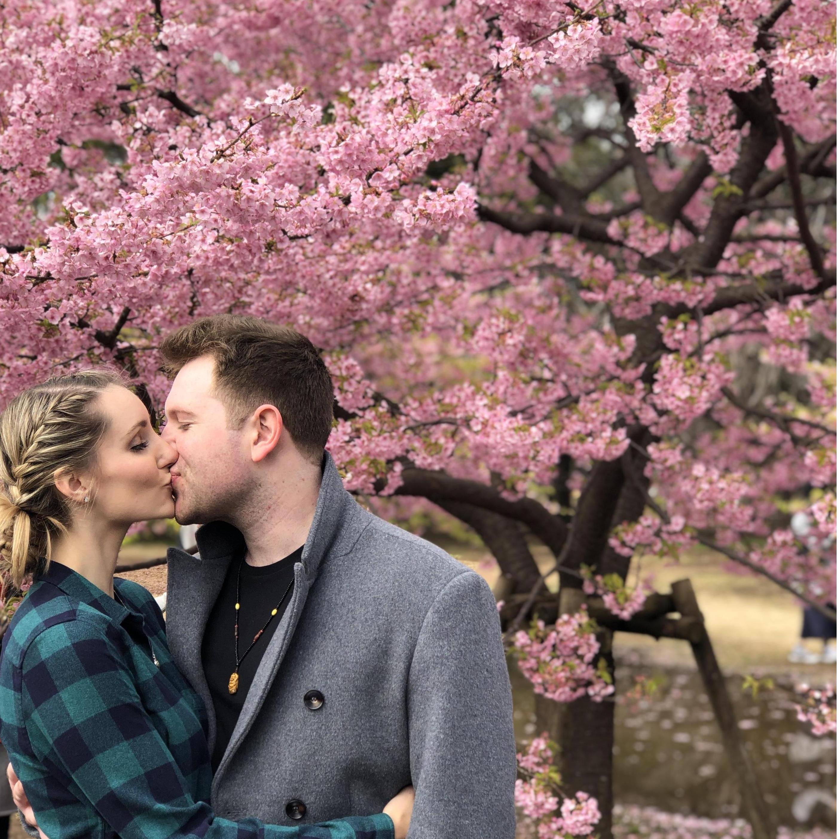 Tokyo March 2019 - the BEST vacation of our lives. I mean LOOK at the cherry blossoms!