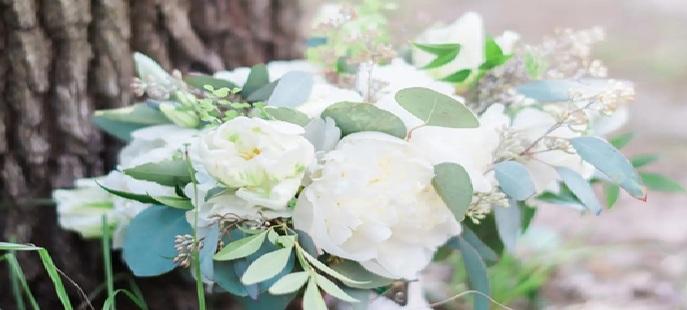 The Wedding Website of Melinda Elaine Dickman and Jeffrey Lee Betsch