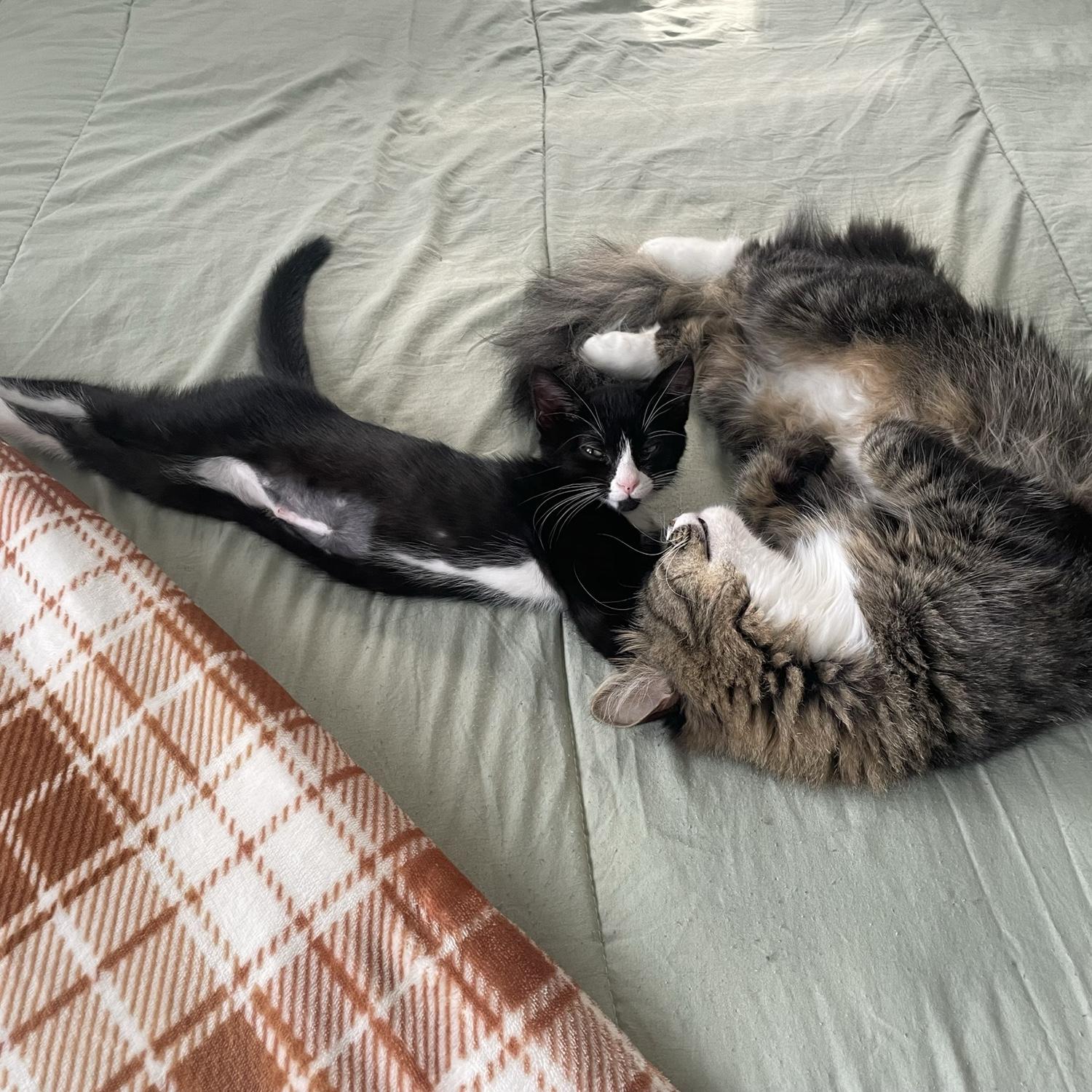 First picture of our children cuddling