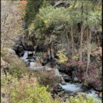 Jess Weaver Trail (AKA No Name Trail)