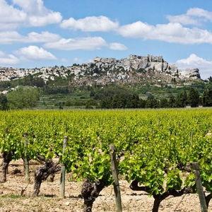 Olive Oil , Winery and Farm Tours in Provence